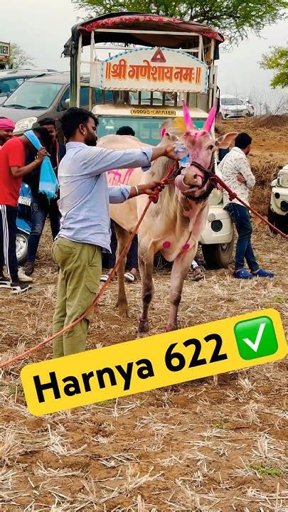 महान भारत केसरी Harnya 622 Youtube