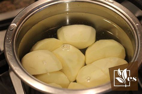 Potato Water For Plants Benefits And Ways To Use It Evergreen Seeds