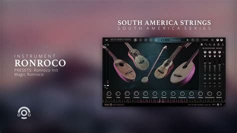 Vst Instruments From South America Tribe Instruments