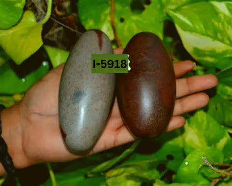 The Shiva Linga Or Lingam Is A Symbol That Represents Lord Shiva In