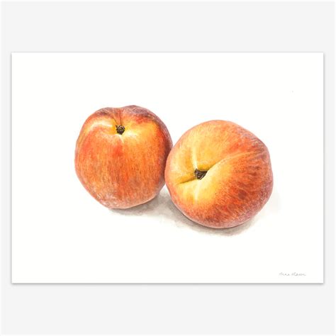 Peaches Anna Mason S Online Shop Modern Botanical Art