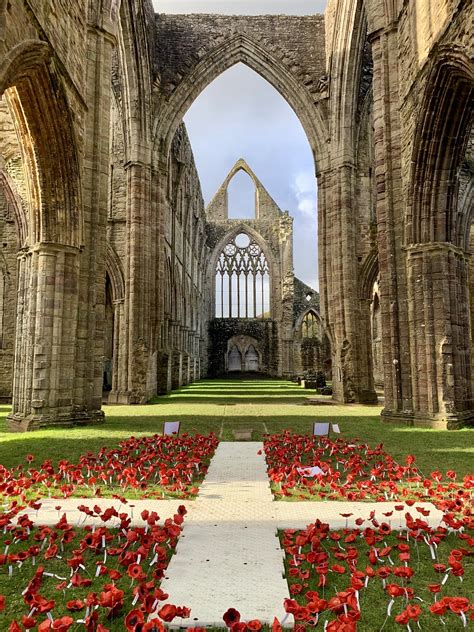 Tintern Abbey Wales Remembrance - Free photo on Pixabay - Pixabay