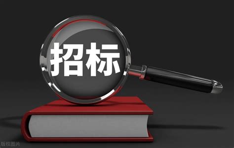 电子招投标中认定“围标串标”的八种方式 知乎