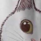 ri attworitreatment twitter