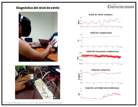 Ansiedad Y Estr S Los Enemigos Invisibles De Los Estudiantes Ciencia