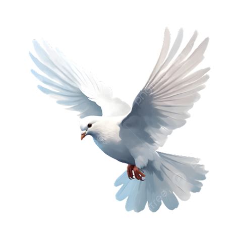 Paloma Png Paloma Png De La Paz Paloma Png Volar Png
