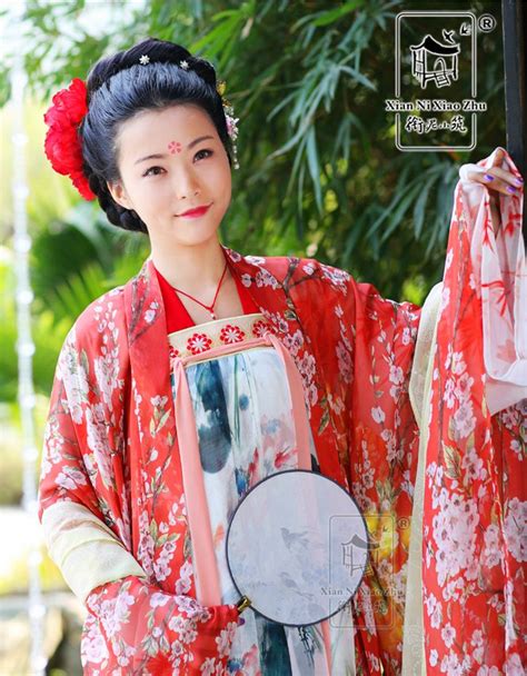 长安月 Hanfu Tang Dynasty Clothing Chinese Clothing