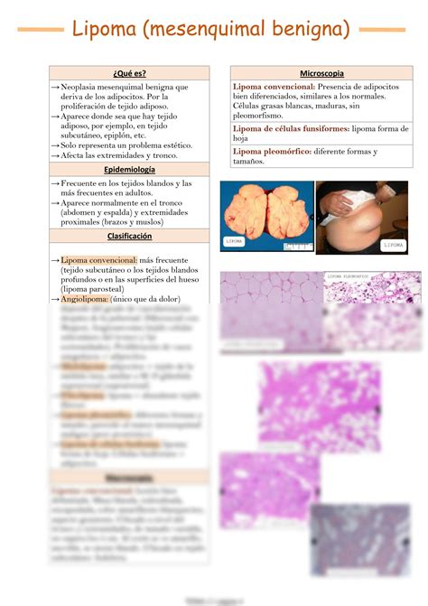 Solution Introducci N A Las Neoplasias Studypool