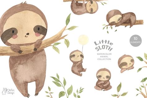 SLOTH Clipart Watercolor Baby Sloth Png