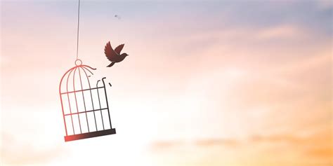 Identifying Sex Trafficked Patients School Of Human Ecology UWMadison