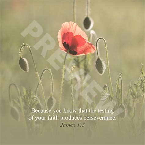 James 13 Innovative Faith Resources