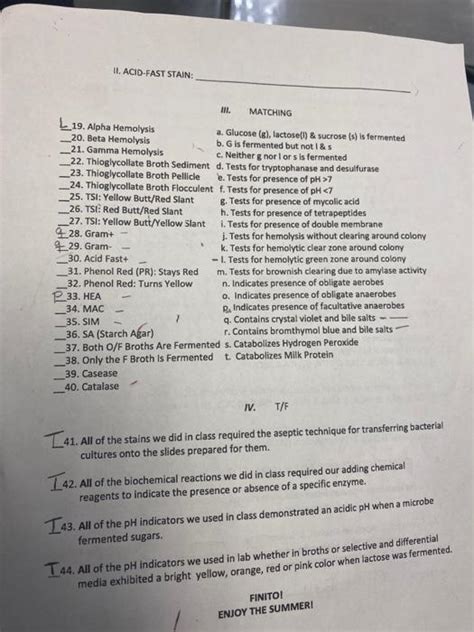 Solved L 19. Alpha Hemolysis 20. Beta Hemolysis -21. Gamma | Chegg.com