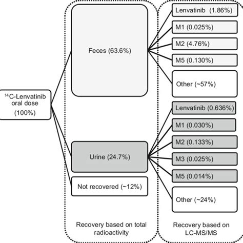 Overview of the average mass balance of 14 C-lenvatinib in 6 cancer ...