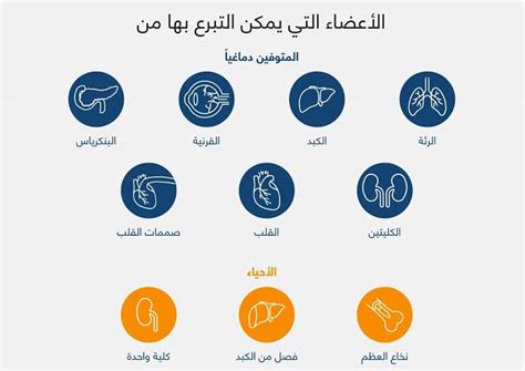 حكم التبرع بالأعضاء بعد الوفاة والشروط الواجب توافرها الاحلام بوست