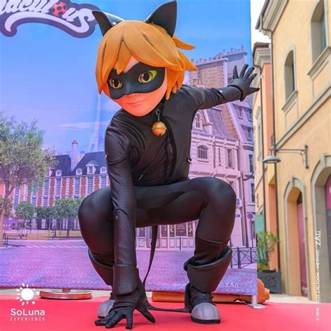 Cat Noir Mascot Mascot Costumes Noir