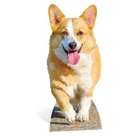 Corgi Dog Lifesized Cardboard Cutoutstand Upstandee Queen Royal Pet