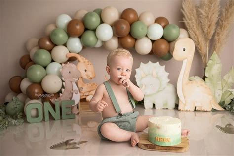 Baby Dino Cake Smash Jongetje Hellevoetsluis Zuid Holland In 2024