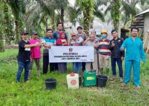 Strengthening Farmer Association And Sustainability For Smallholder Oil