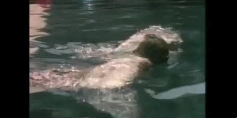 Melinda Armstrong Breasts Bush Scene In Bikini Summer Full Frontal