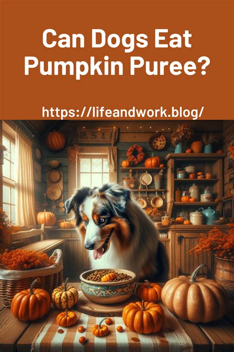 how to puree pumpkin for dogs