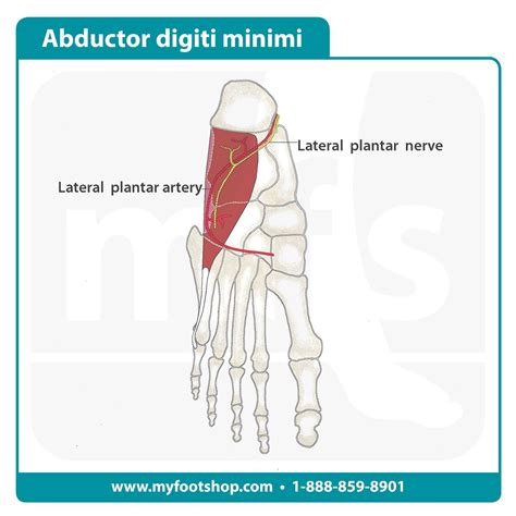 Abductor Digiti Minimi Foot Treatment