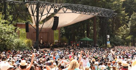 Experience the Best of Live Music in San Francisco's Iconic Stern Grove Park 6