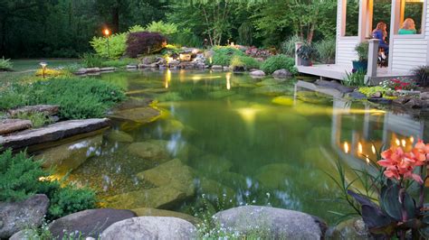 Transform Your Yard with Expert Pond Builders