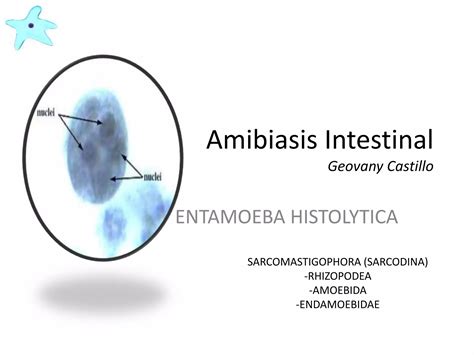 Amebiasis Intestinal Ppt