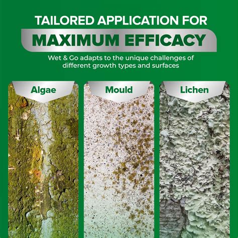 Wet And Go Mould Algae And Lichen Remover 5l