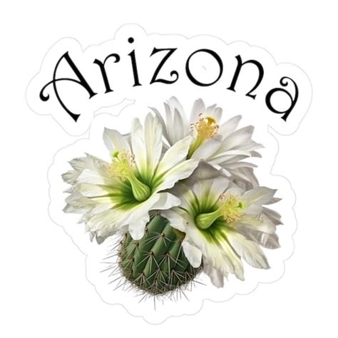 Arizona State Flower The Saguaro Cactus Blossom Kiss Cut Vinyl