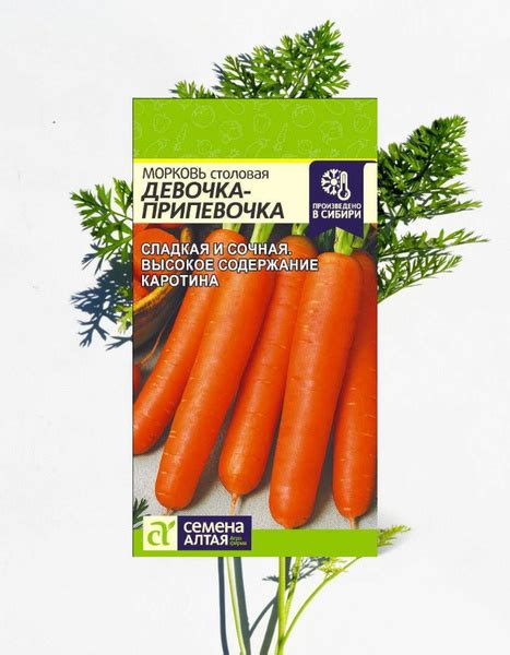Морковь Семена Алтая 18_оранжевый - купить по выгодным ценам в интернет ...