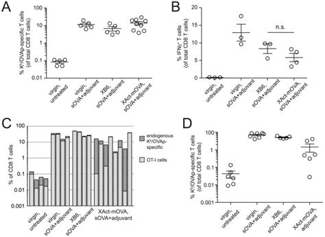 A Ova Specific Cd8 T Cell Expansion In Postpartum Act Mova Mated