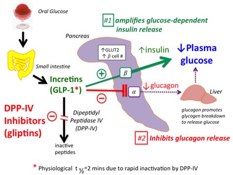 sitagliptin [TUSOM | Pharmwiki]