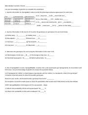 Bikini Bottom Genetics 2 Docx Bikini Bottom Genetics 2 Name Use Your Knowledge Of Genetics To