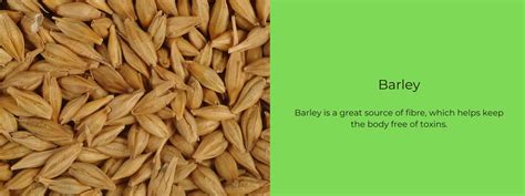 Barley And Wheat Difference