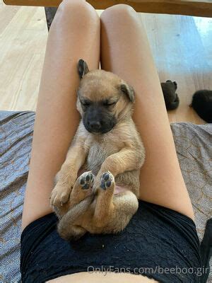 Beeboo Girl Leaked Nude Photos And Videos