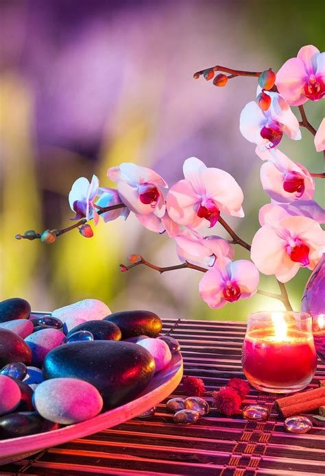 Calming Flower Wallpapers - Top Những Hình Ảnh Đẹp