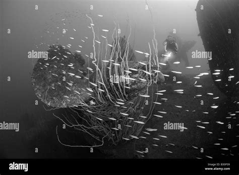 Taucher Am Propeller Hijms Nagato Schlachtschiff Marshallinseln Bikini