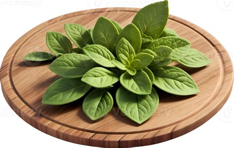 AI Generated Fresh Oregano Leaves On A Wooden Plate Isolated In