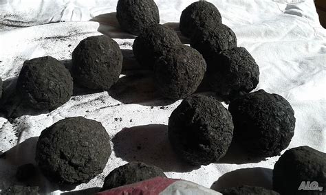 Мумио, мумия за лечение на кости от Кушла | Здравословни и билкови ...