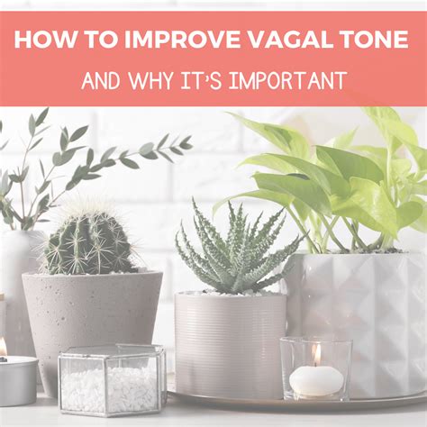 How To Improve Vagal Tone And Why Its Important Neurodivergent Insights