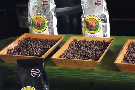 8 Unknown Facts About Costa Rican Coffee