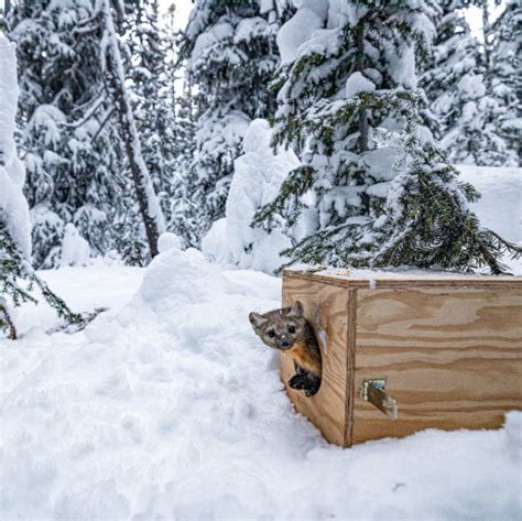 Links Naked Capitalism