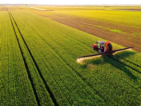 X I Rapporto Nomisma Suill' Agricoltura Italiana 9