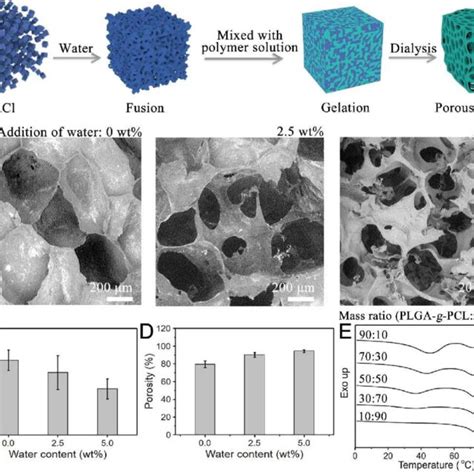 Fabrication Of Body Temperature Responsive Plga G Pcl Porous Sm Download Scientific Diagram