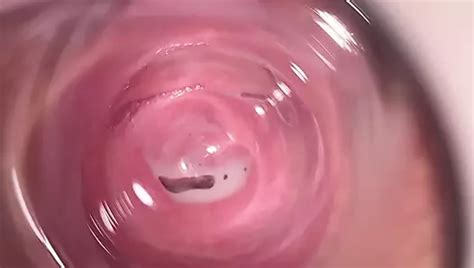 Internal Camera Deep Inside Mia S Creamy Pussy Welcome To My Vagina Xhamster