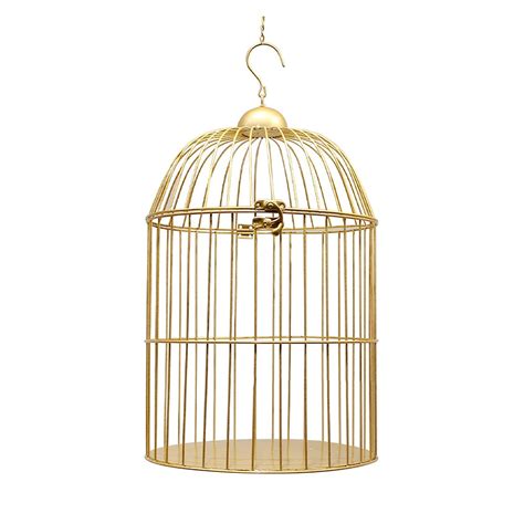 10 Best Decorative Parrotlet Bird Cages for Your Feathered Friend - Hummingbirds Plus