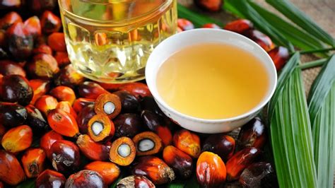 Когда пальмовое масло становится опасным для здоровья: Новости: Фитнес ...