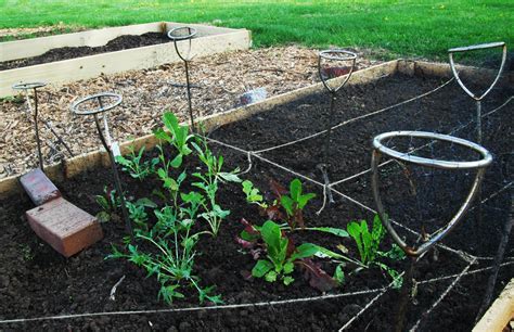 Two New Community Gardens are Now Available in Prairie Village | The