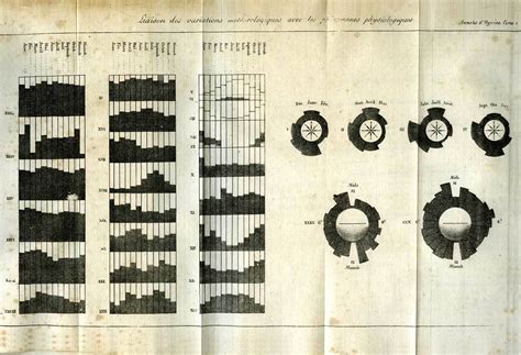 10 Stunning Interactive Data Visualization Examples